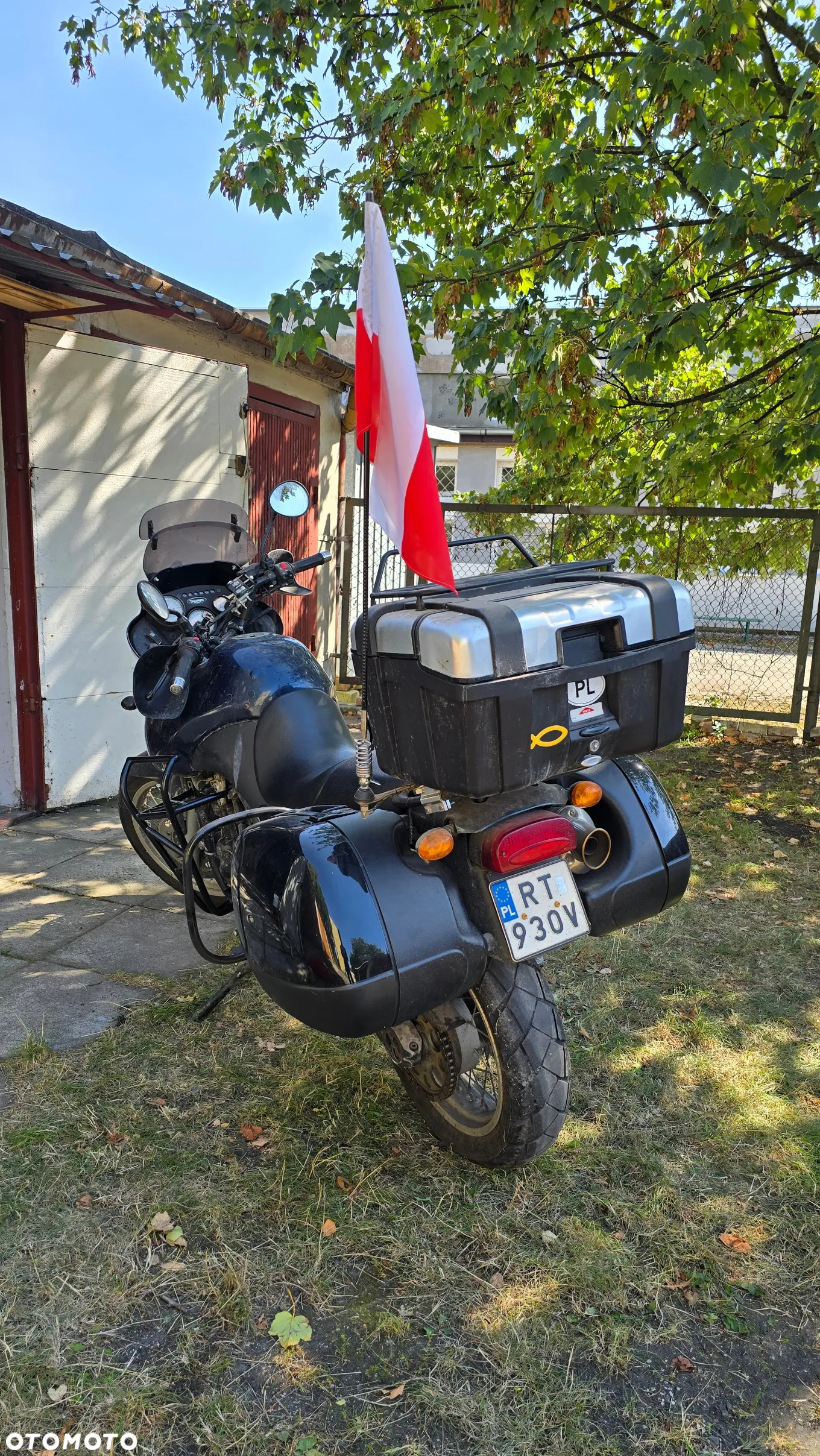 Triumph Tiger - 22