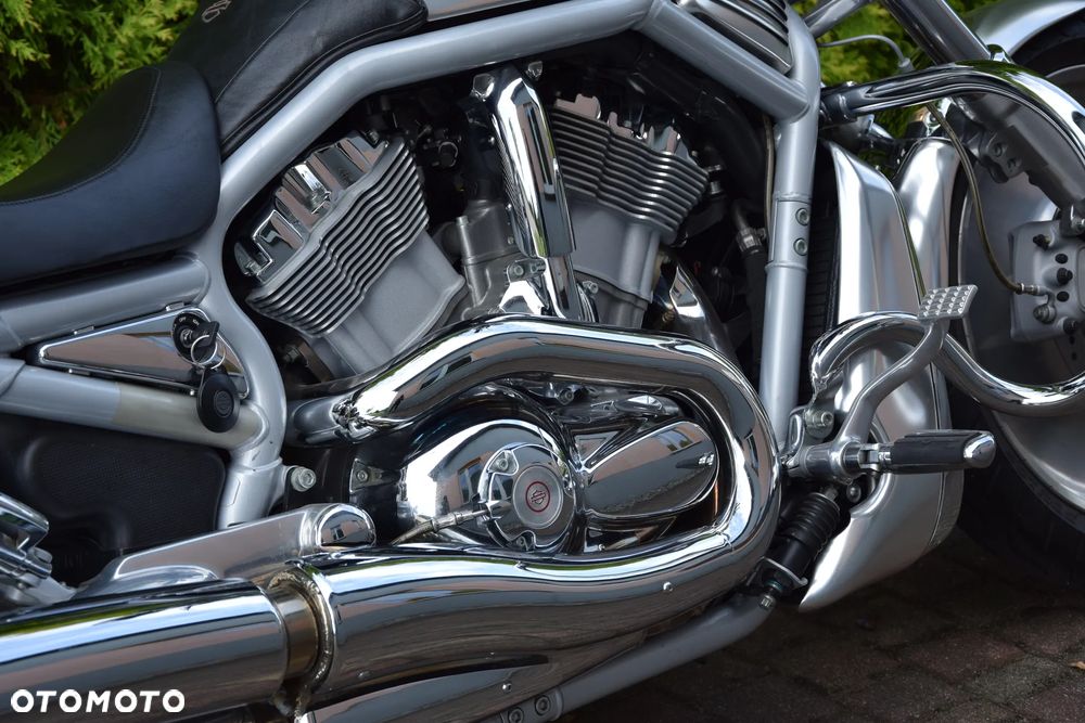 Harley-Davidson Softail V-Rod - 9