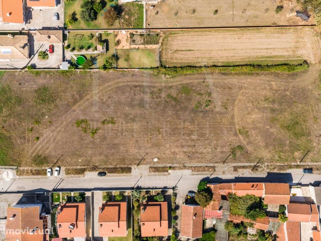 Terreno | Lote 3 | Avanca, Estarreja - Grande imagem: 3/12