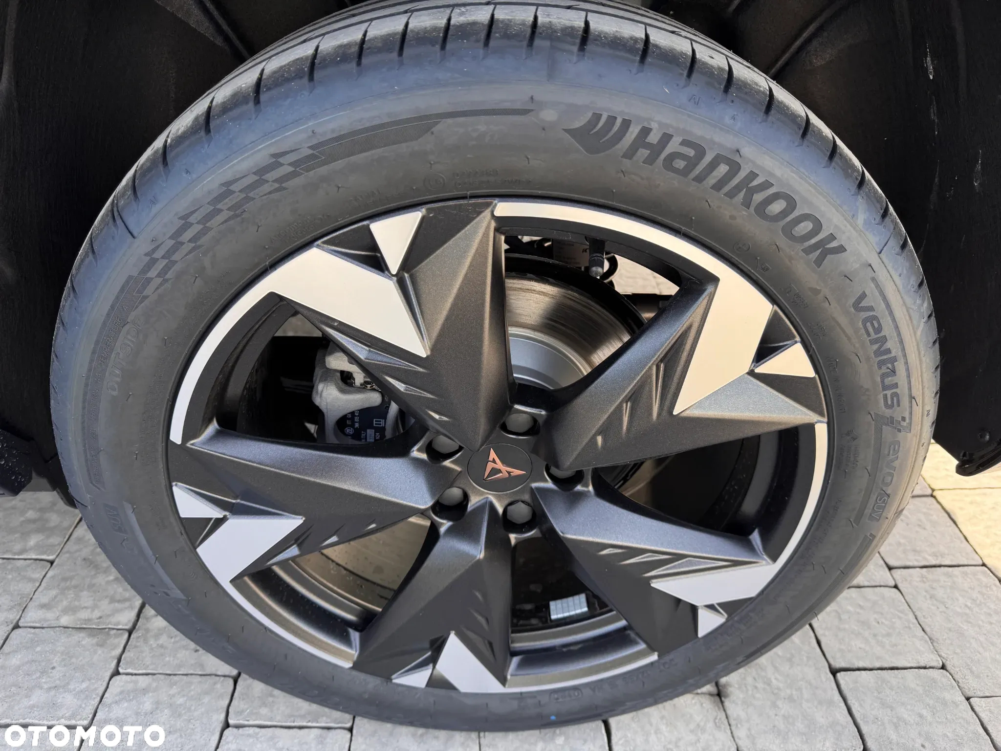 Cupra Terramar 1.5 eTSI mHEV DSG - 9