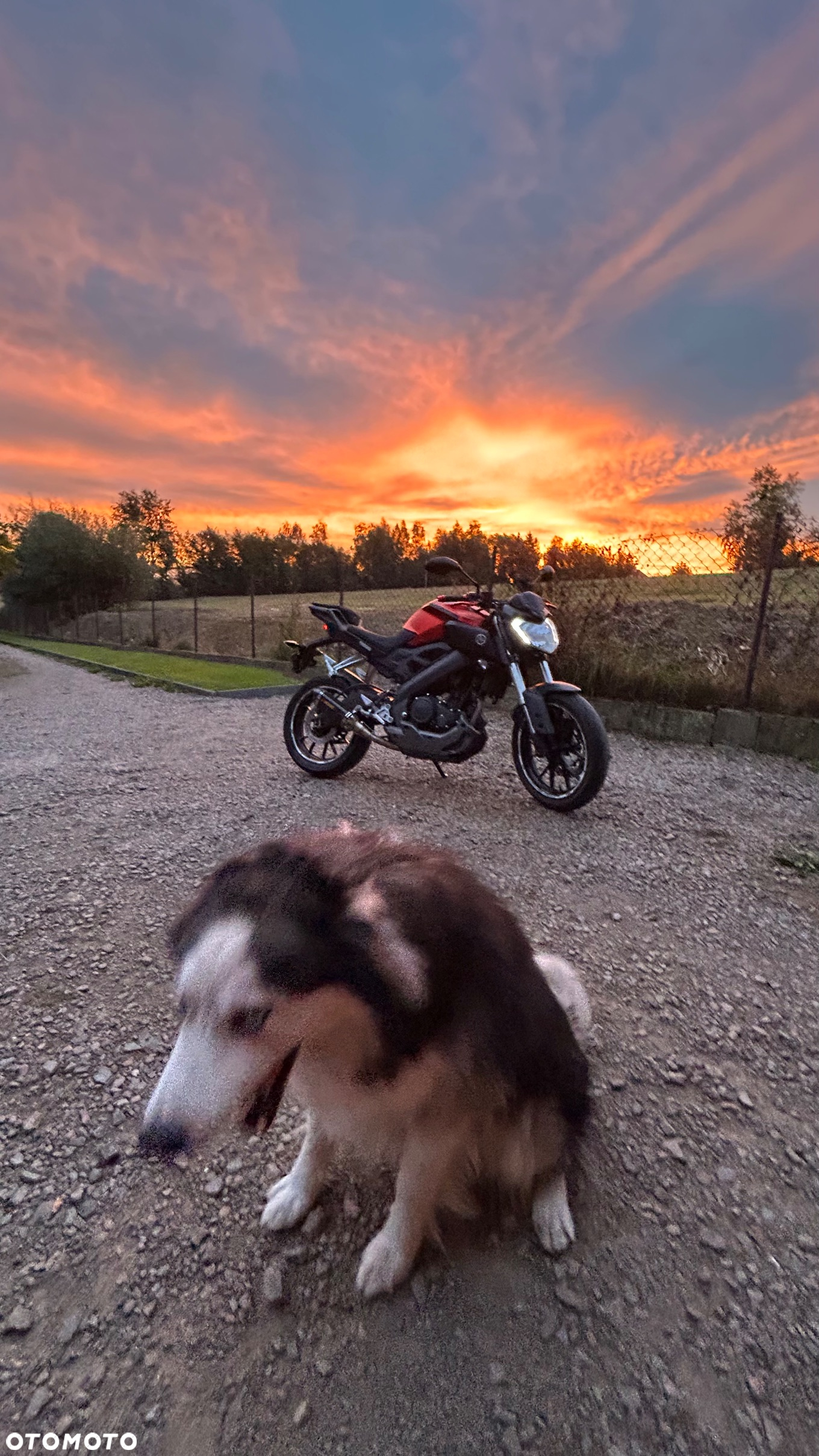 Yamaha MT - 18