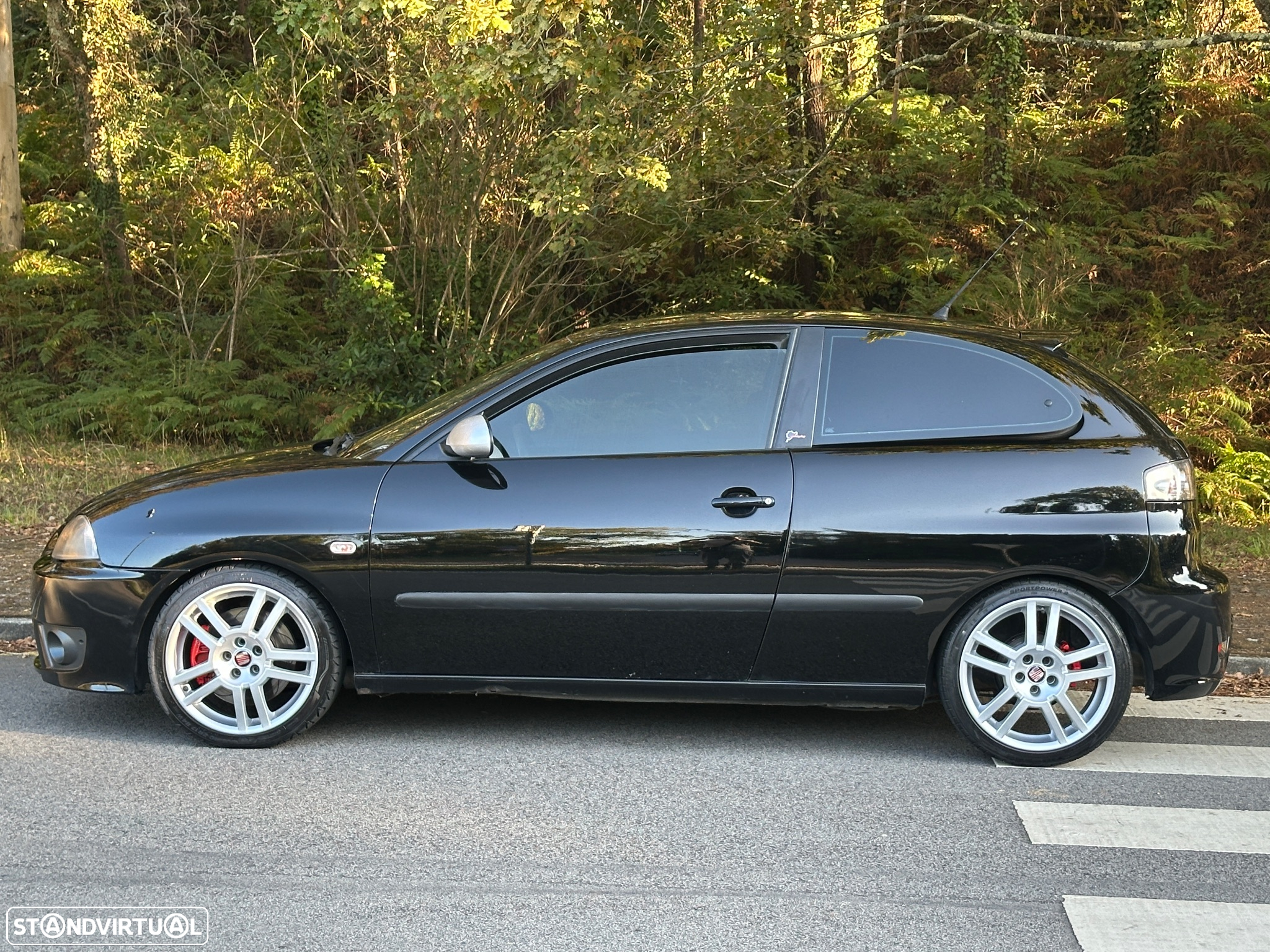 SEAT Ibiza 1.9 TDi Cupra - 14