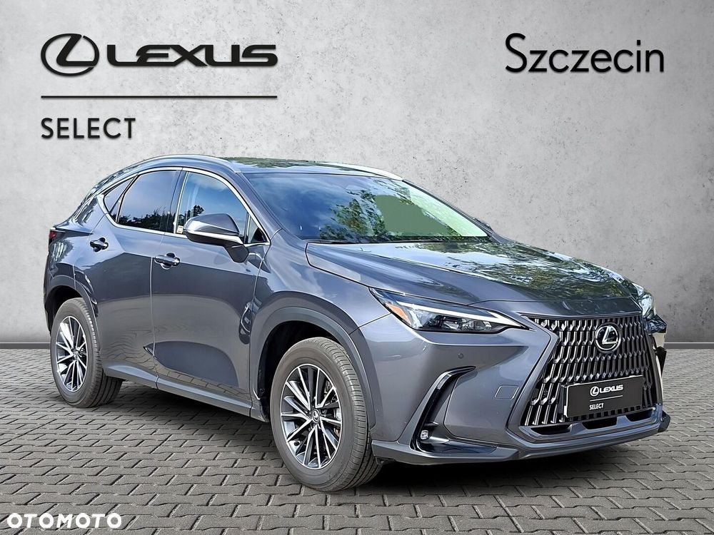 Lexus NX 350h Prestige 2WD - 7