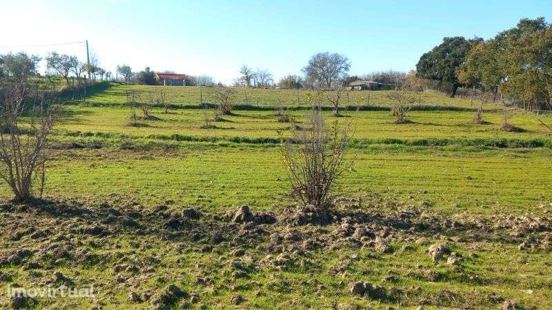 Terreno Idanha A Nova - Grande imagem: 4/7