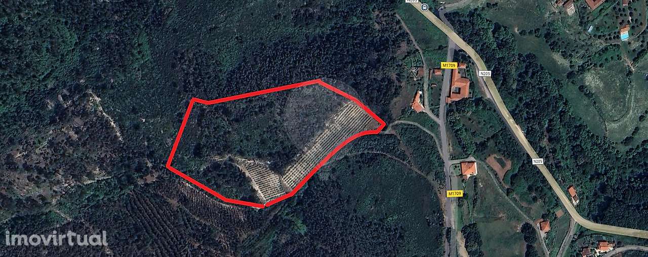 Terreno  para venda - Grande imagem: 3/7