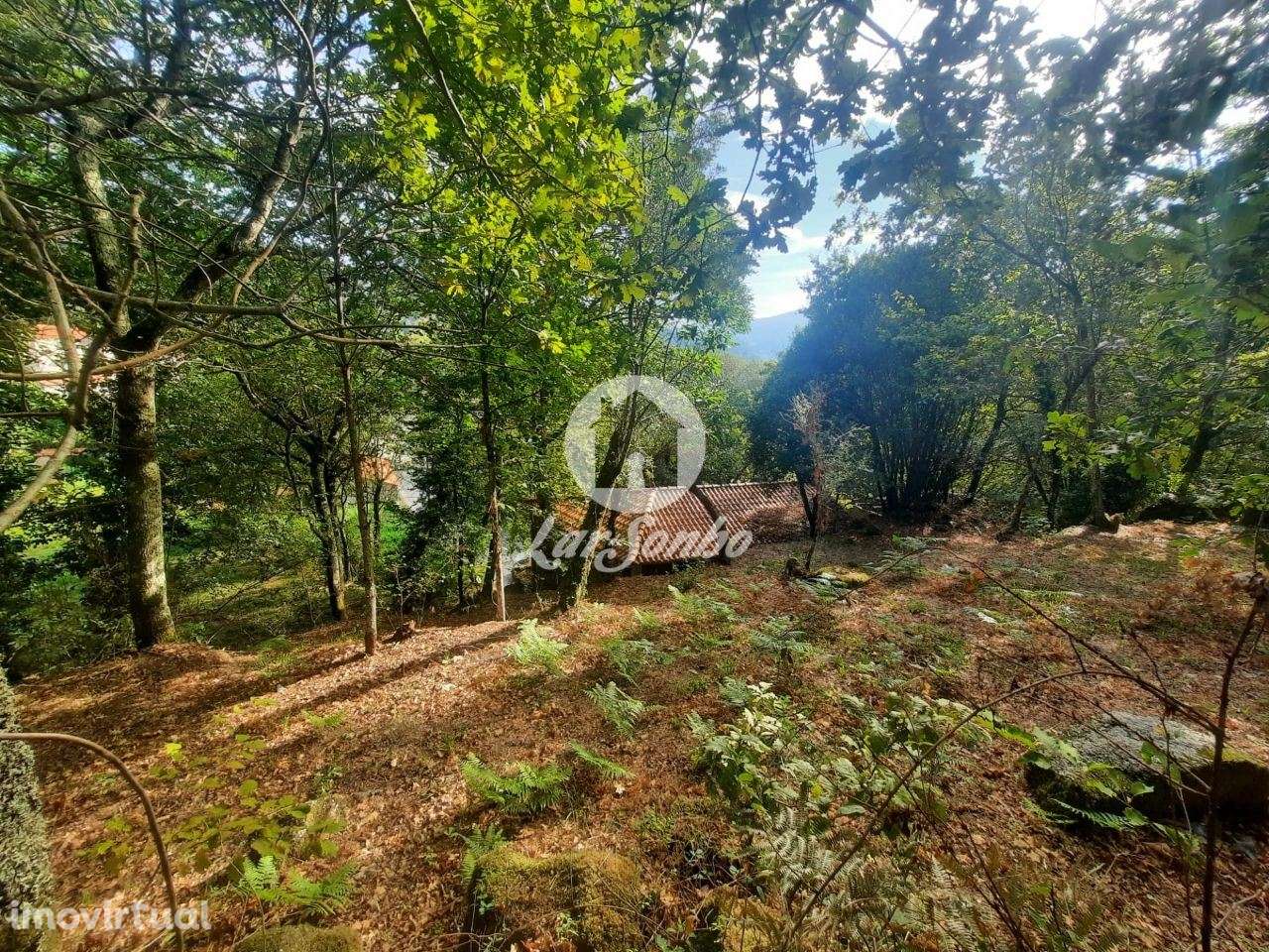 Moradia em Pedra para Restaurar em Moreira do Rei, Fafe - Grande imagem: 4/14