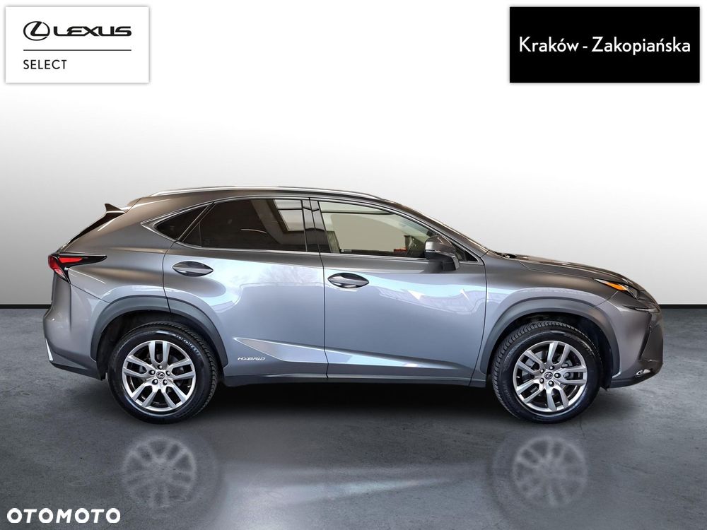 Lexus NX 300h Business Edition AWD - 7