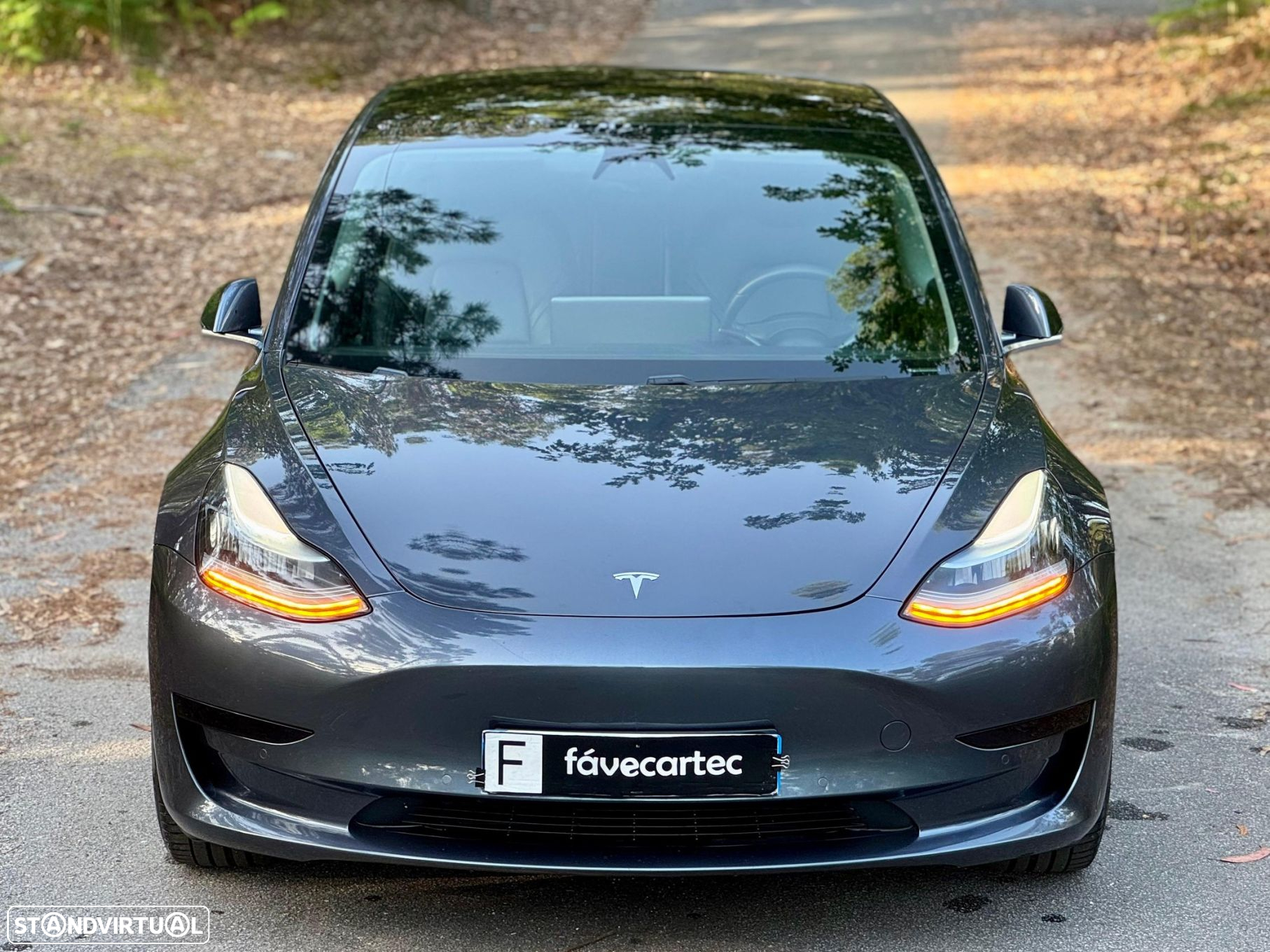 Tesla Model 3 Standard Range Plus RWD - 23