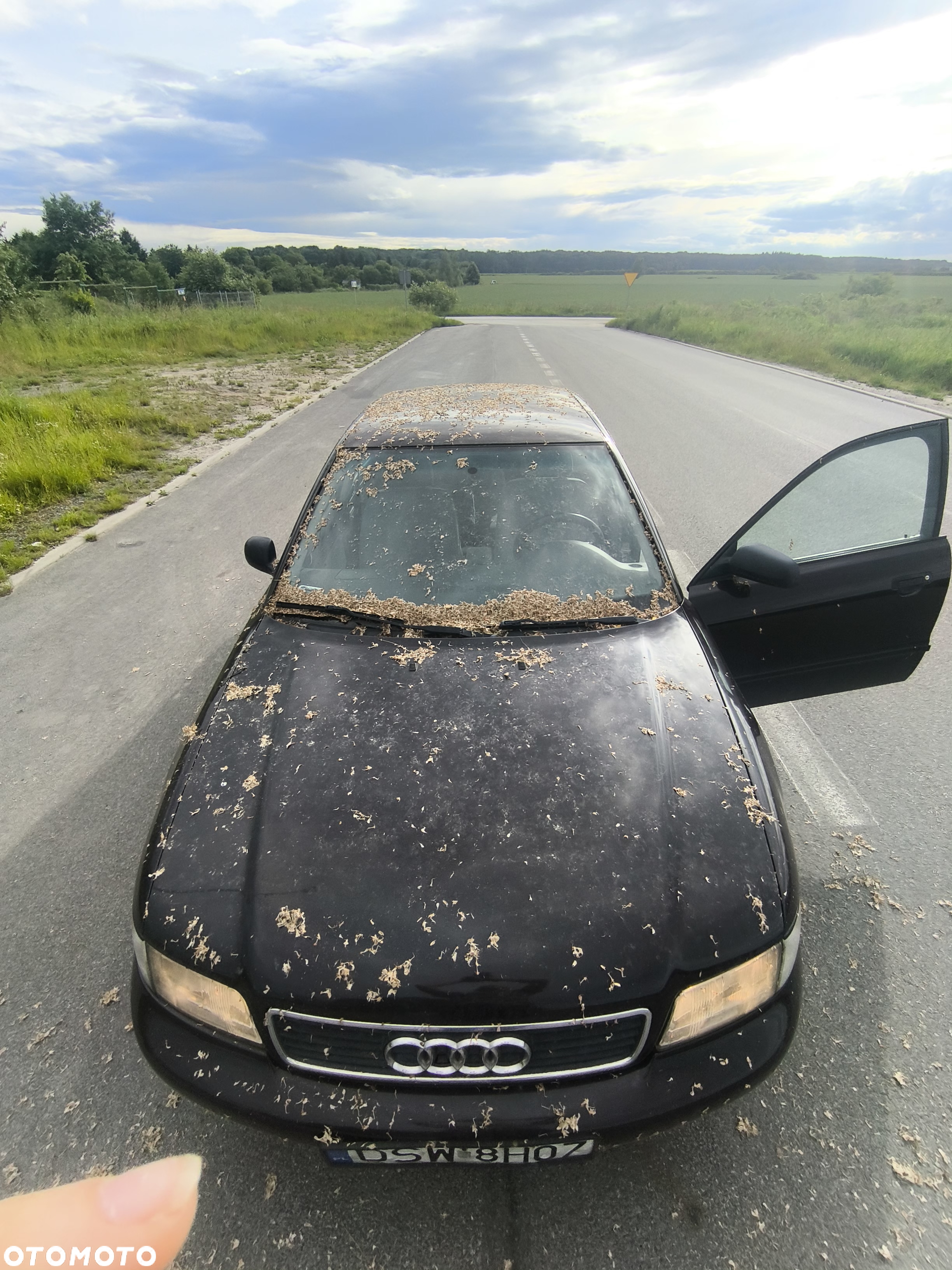 Audi A4 - 3