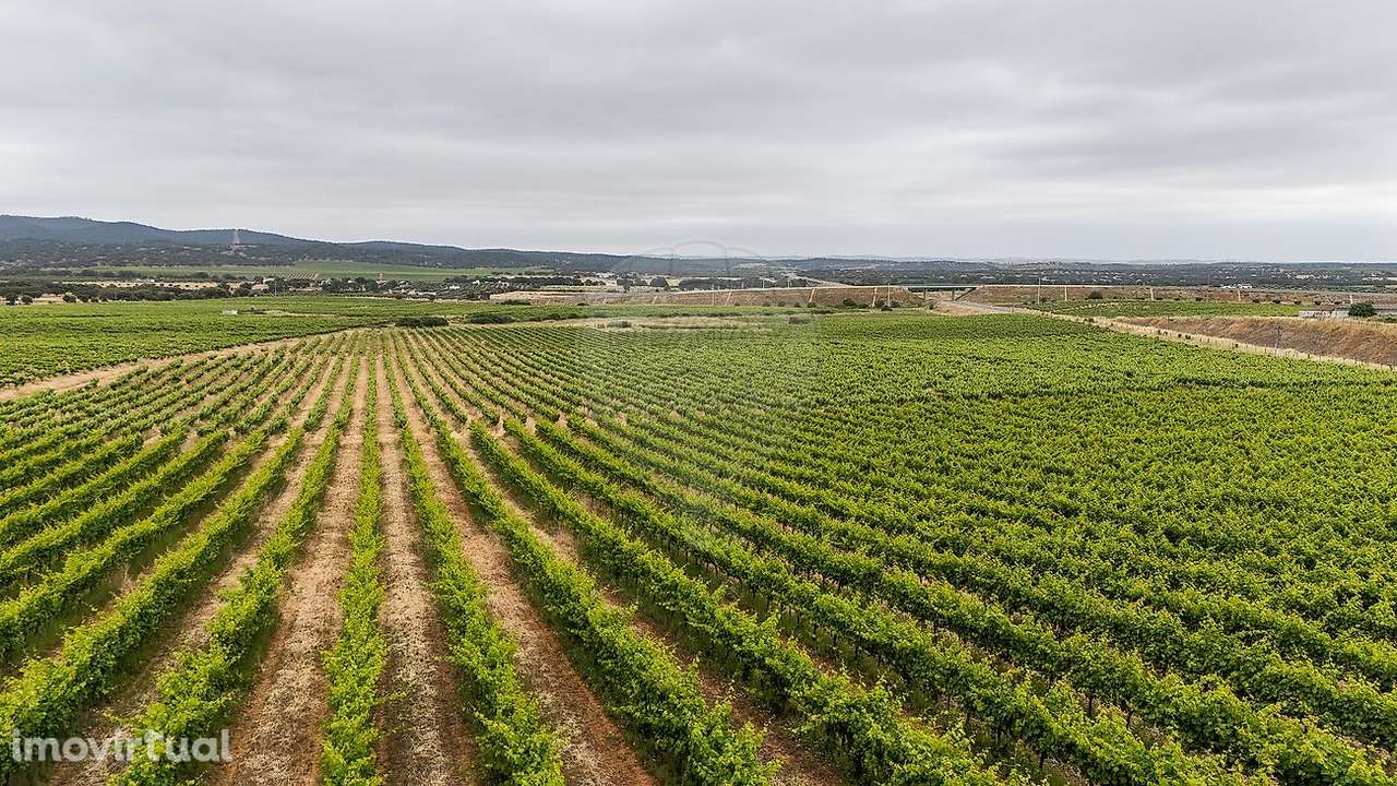 Quinta  para venda - Grande imagem: 4/12