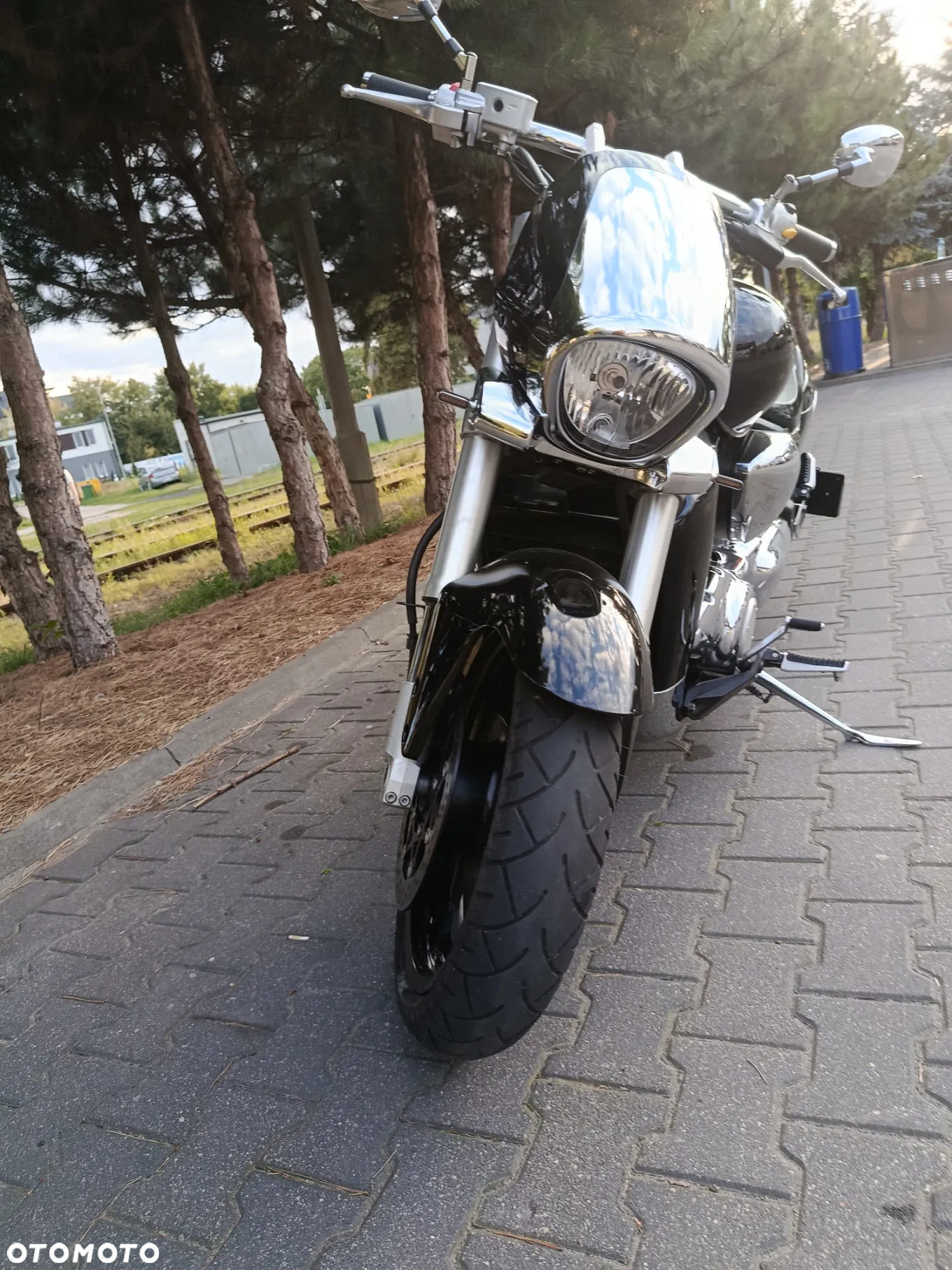 Suzuki Intruder - 10