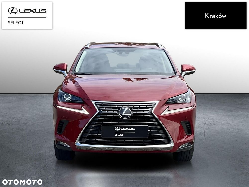 Lexus NX 300h Business Edition AWD - 8