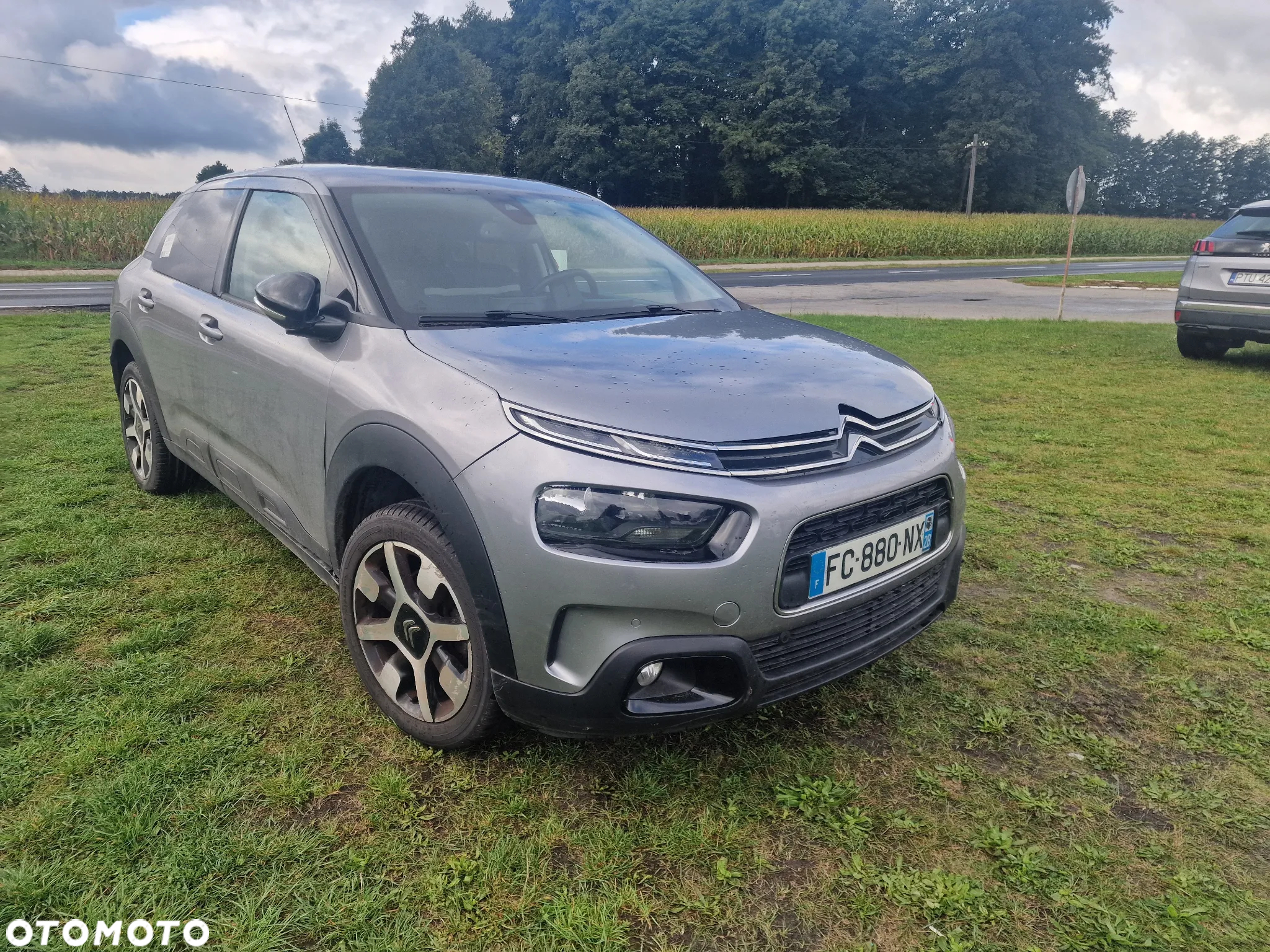 Citroën C4 Cactus 1.2 PureTech Origins S&S - 17