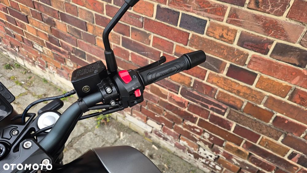 Benelli Leoncino - 8