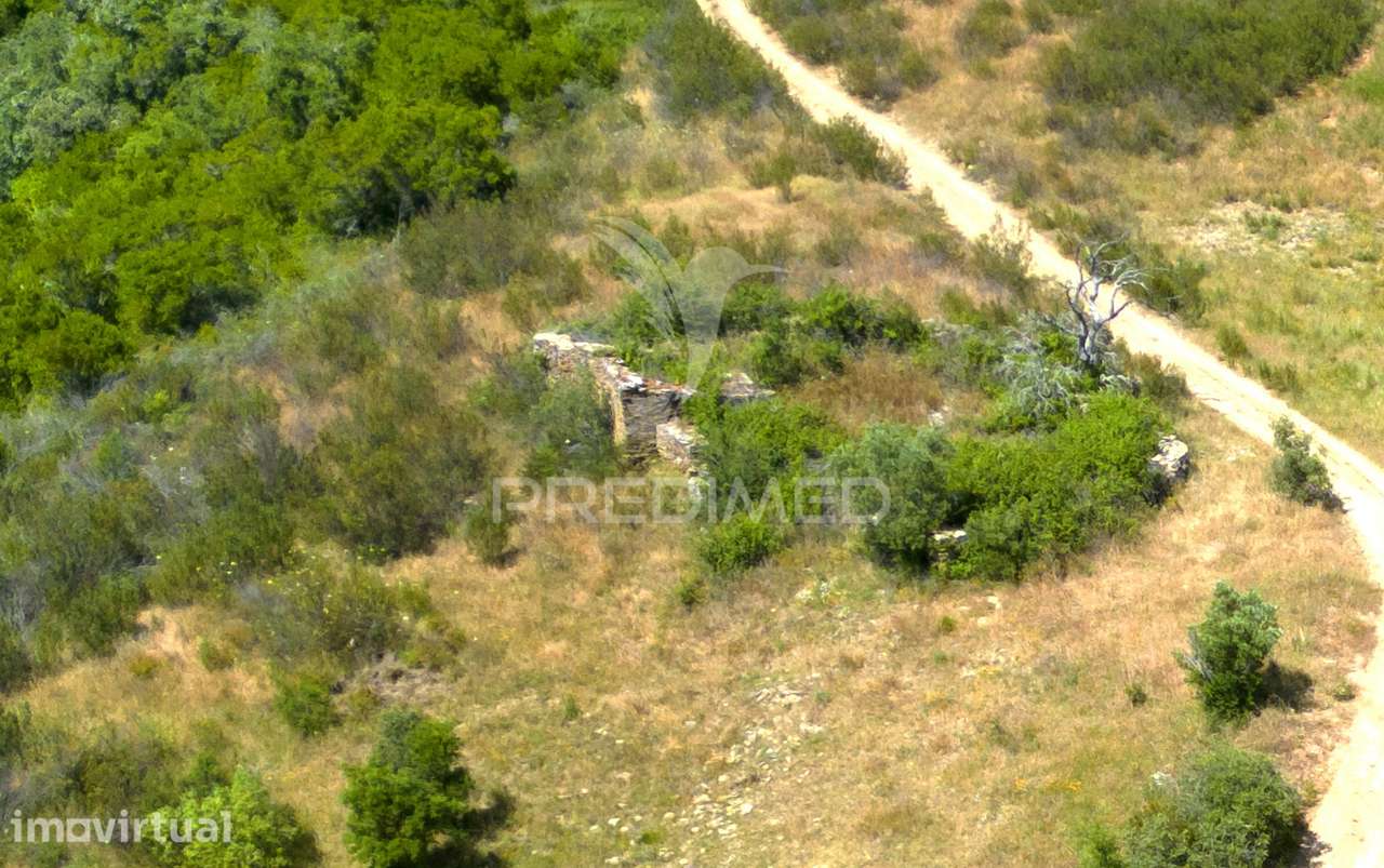 Quinta com 2,3000 ha e ruinas com 72 m2 a 11 Km de Odemira - Grande imagem: 4/22