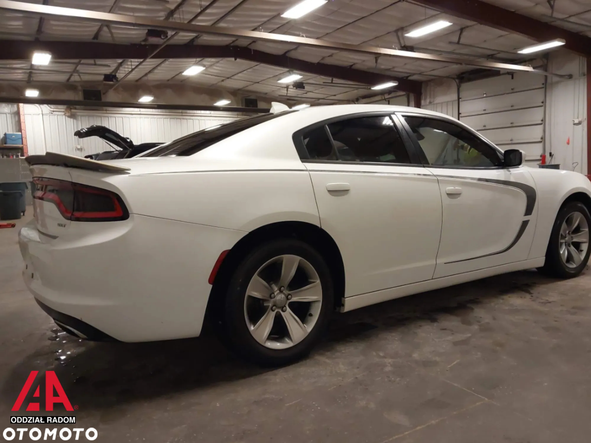Dodge Charger - 5