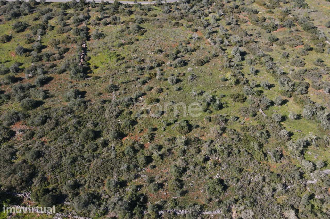 2 Terrenos Rústicos com uma área de 23.960m2, Messines - Grande imagem: 4/20