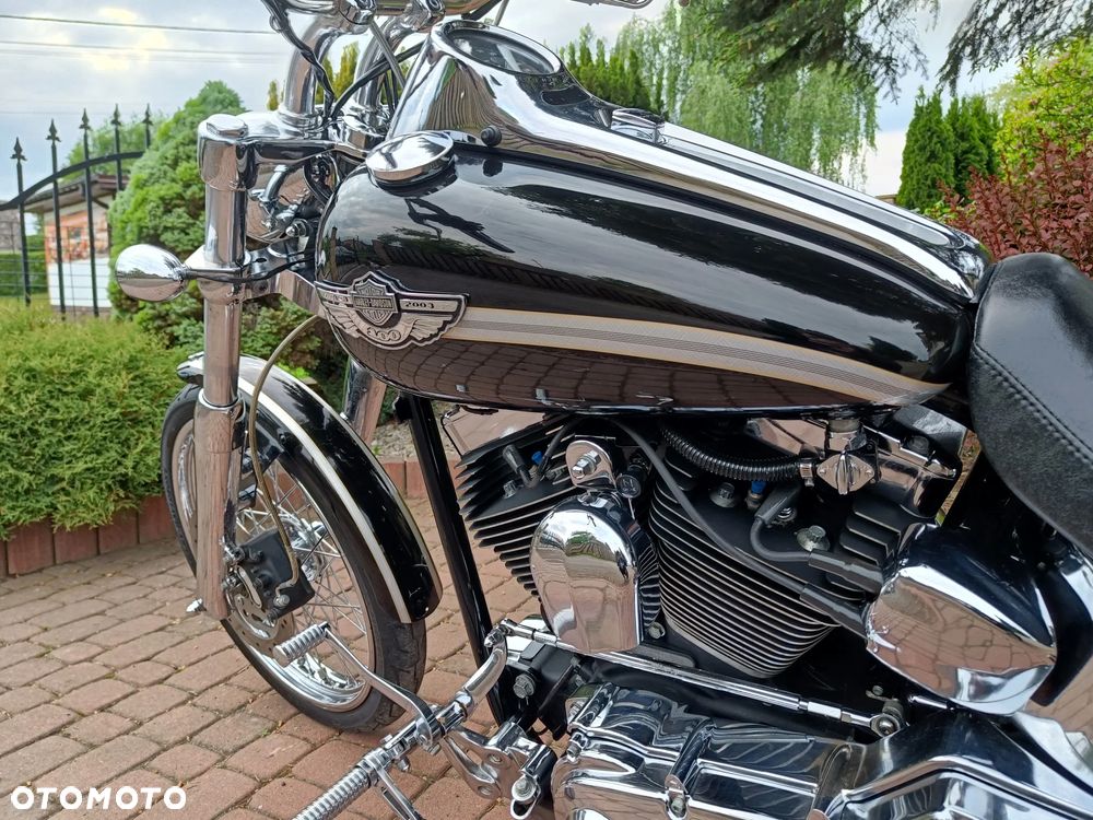 Harley-Davidson Softail - 29