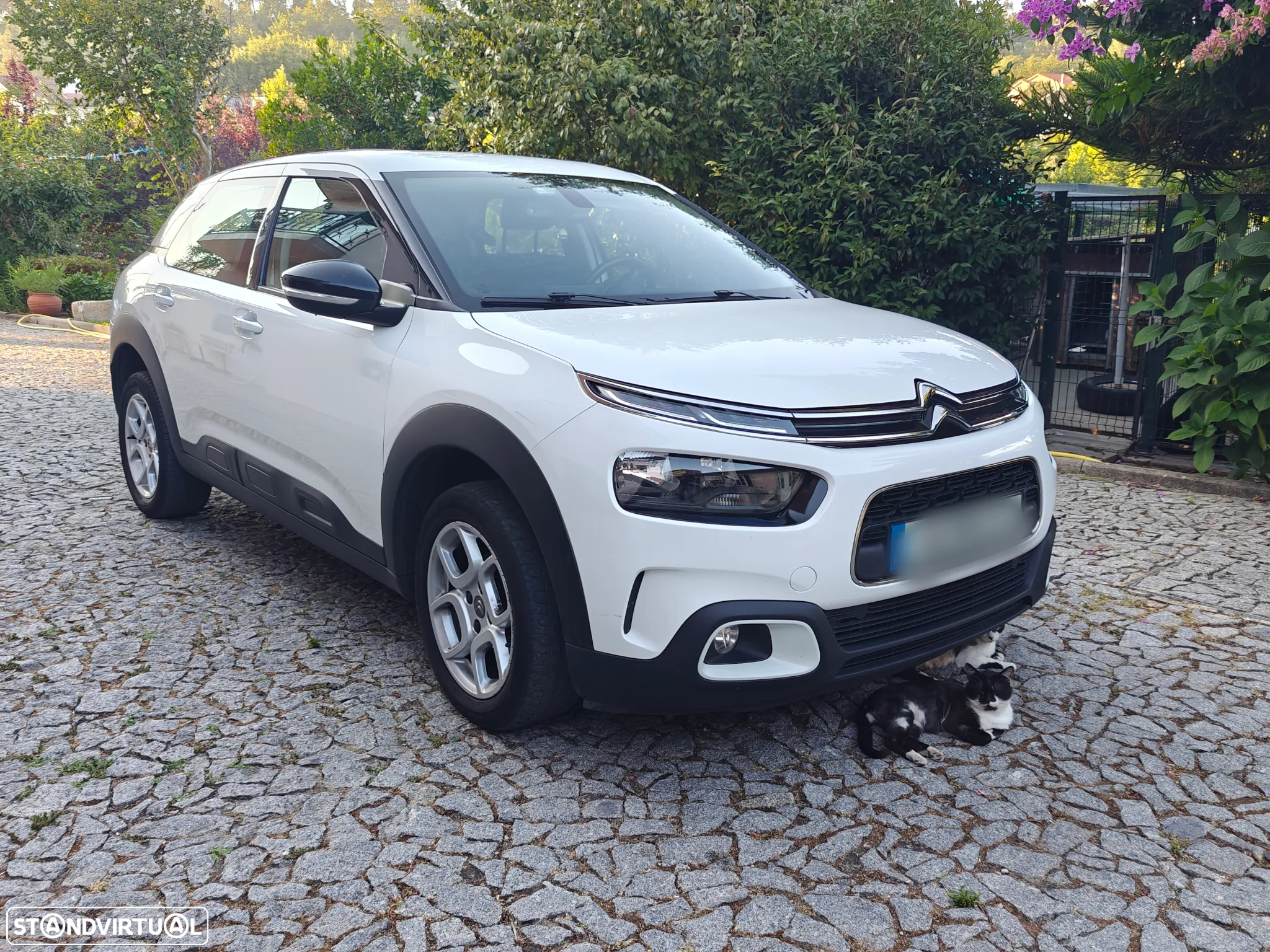 Citroën C4 Cactus 1.5 BlueHDi Live - 2