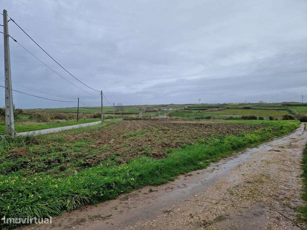 Terreno Para Agricultura em Torres Vedras - Grande imagem: 4/10