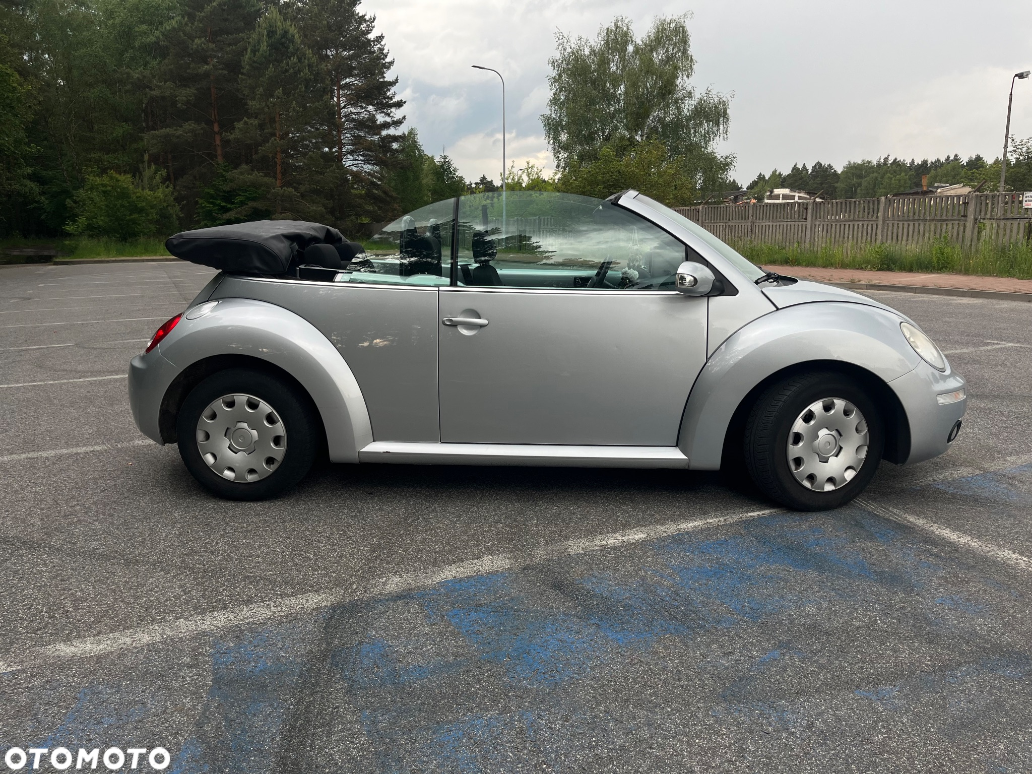 Volkswagen Beetle - 8