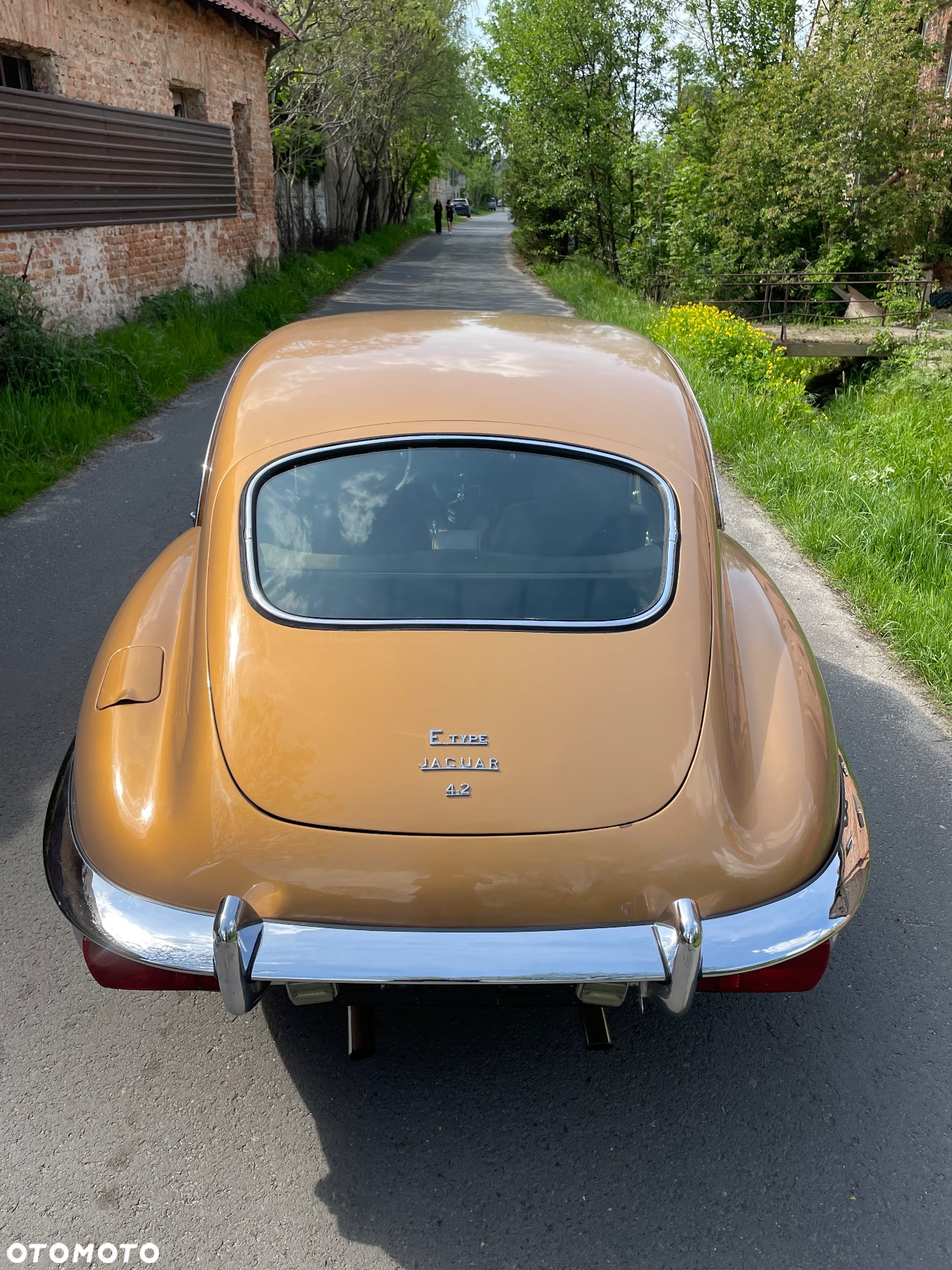 Jaguar E-Type - 6