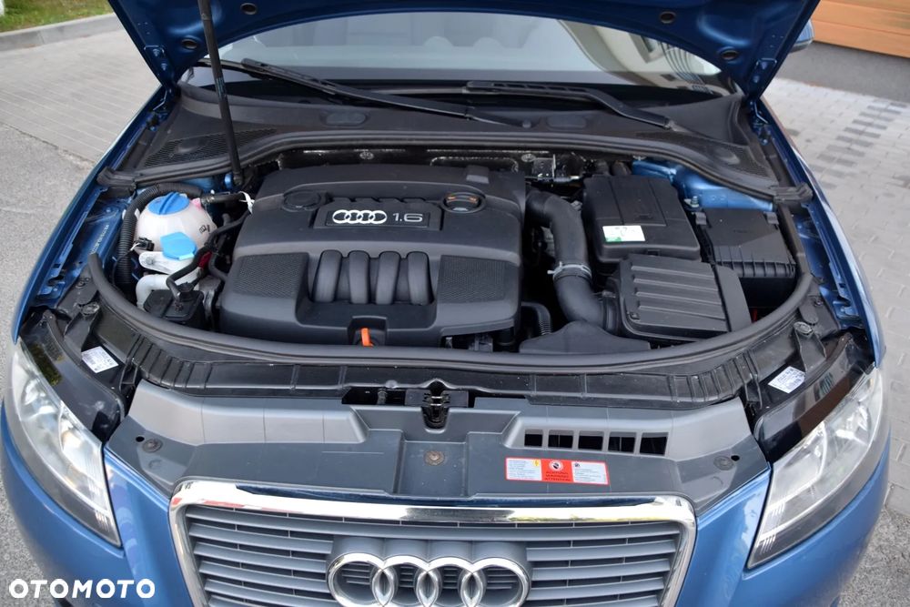 Audi A3 3-drzwiowe 1.6 Ambiente - 16