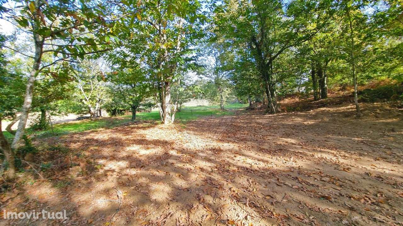 Terreno  para venda - Grande imagem: 4/5