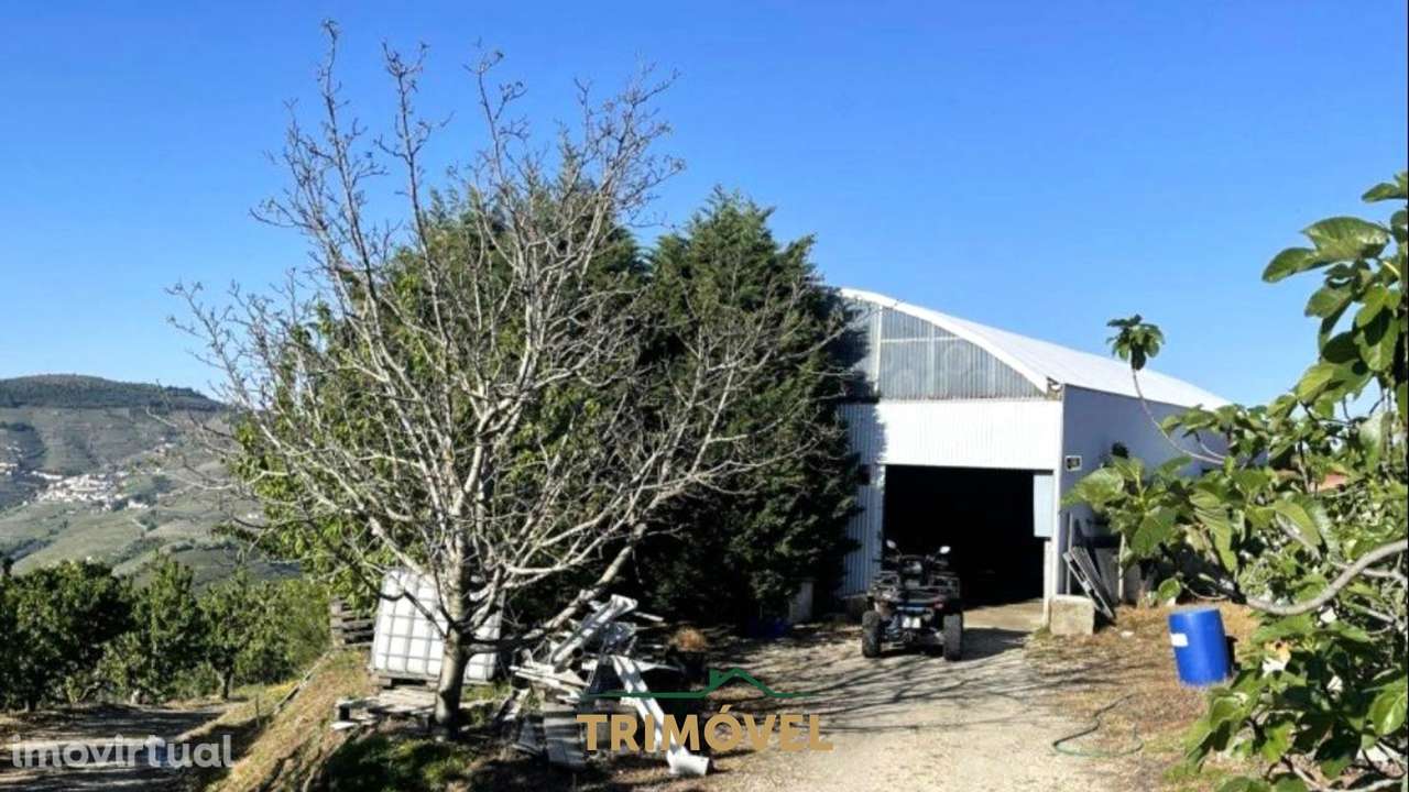 Quinta T5+2 em Pleno Alto Douro Vinhateiro - Grande imagem: 5/8