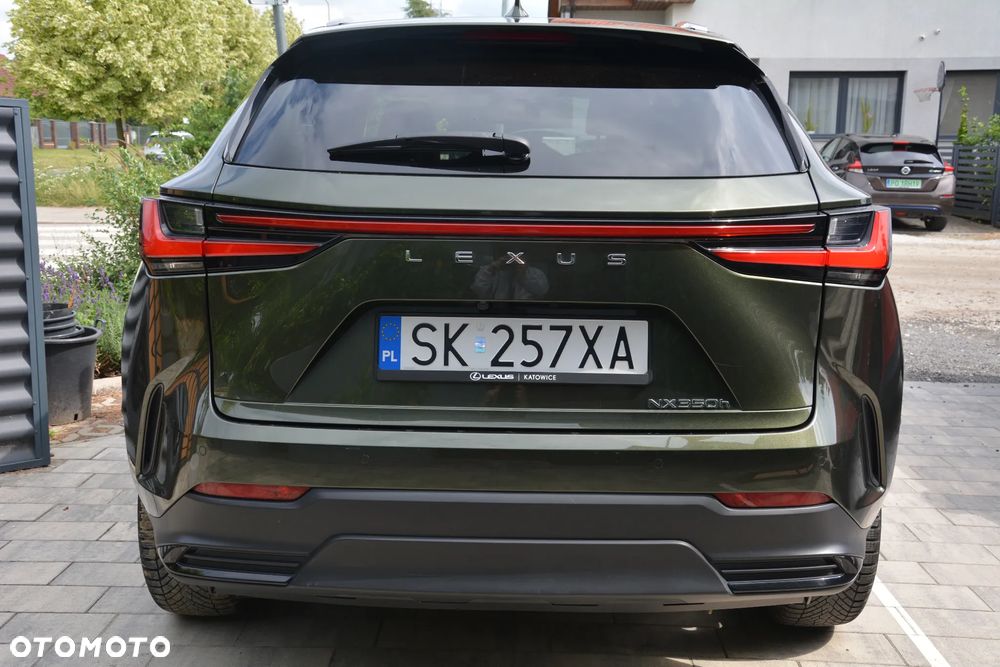 Lexus NX - 10