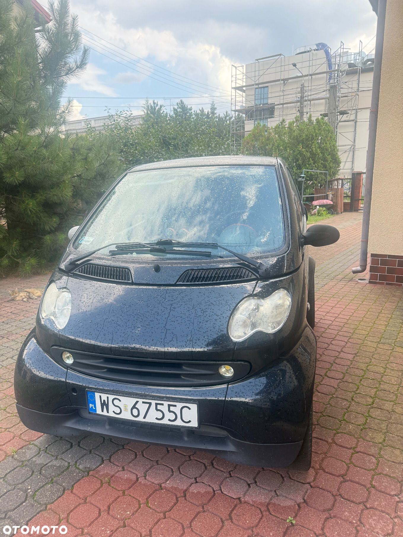 Smart Fortwo & pulse - 1