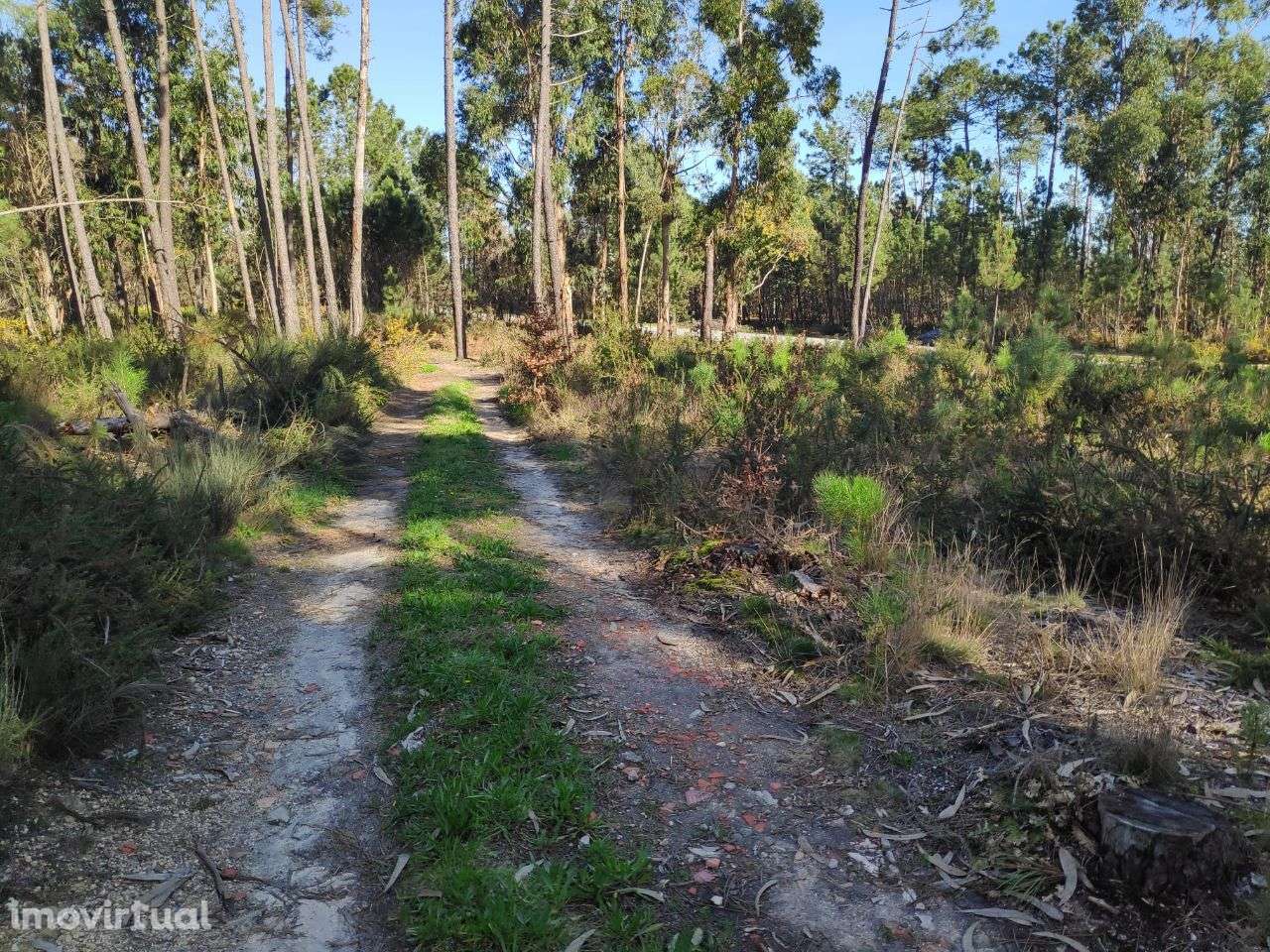 Terreno Rústico a 6 Kms do Centro - Grande imagem: 4/9