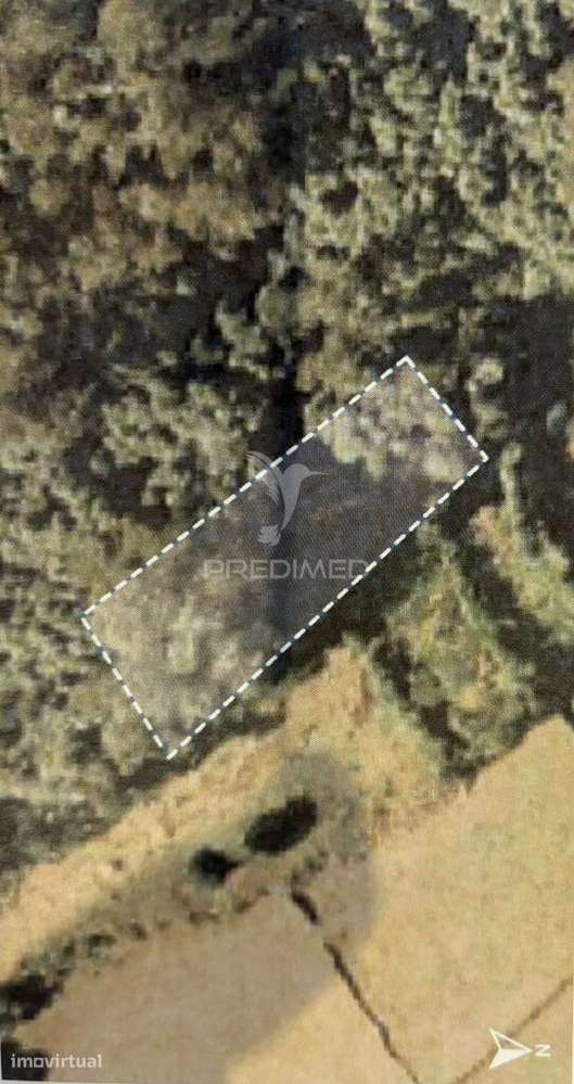 Mata com 968m2 - Grande imagem: 2/11