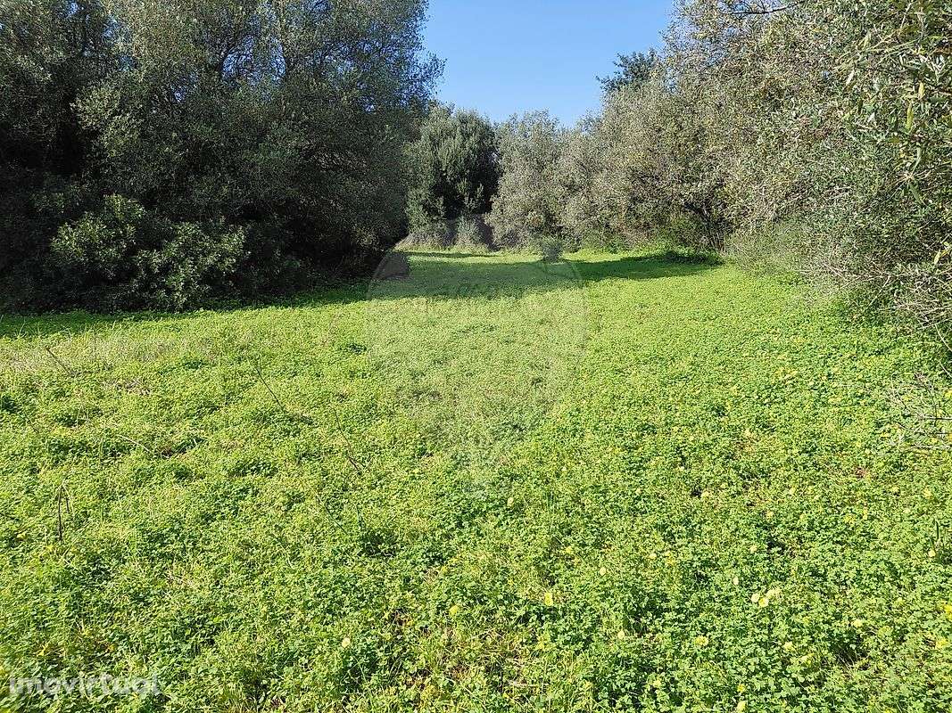 Terreno  para venda - Grande imagem: 4/15