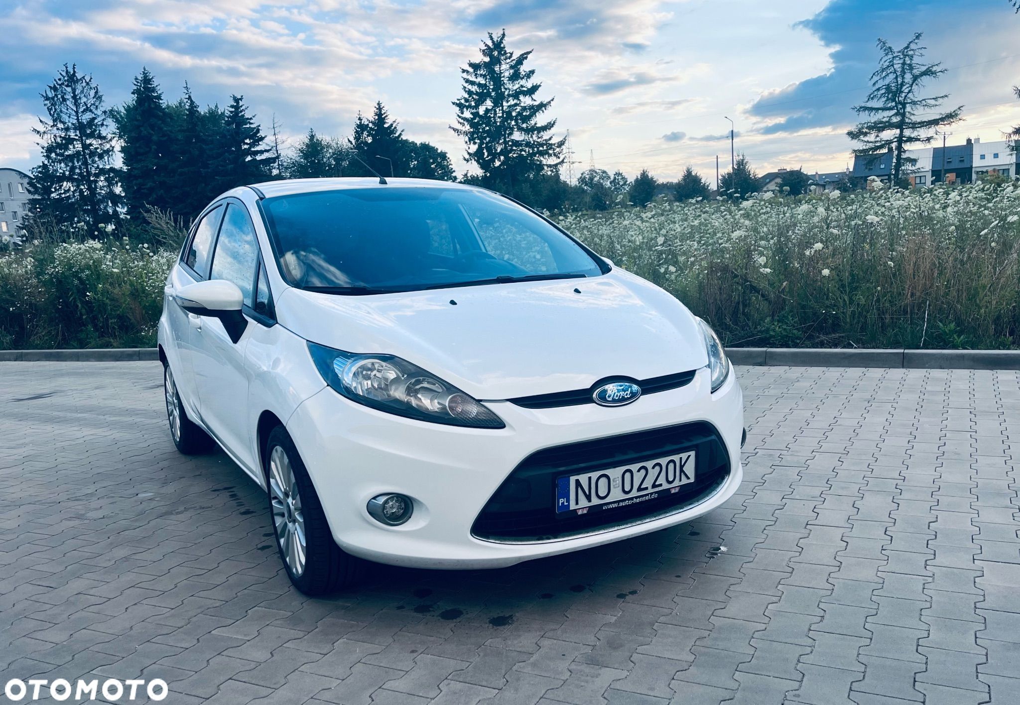 Ford Fiesta - 1