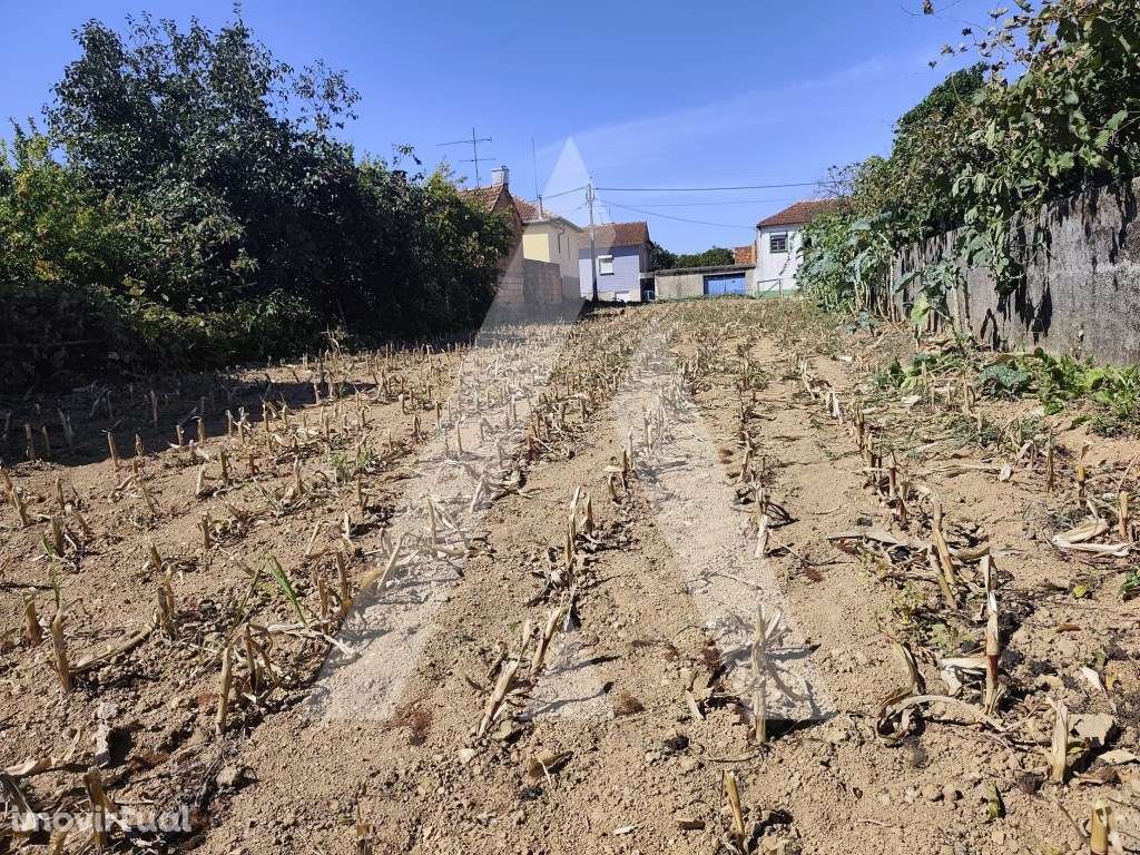 Terreno para construção de moradia em Águeda - Grande imagem: 5/12