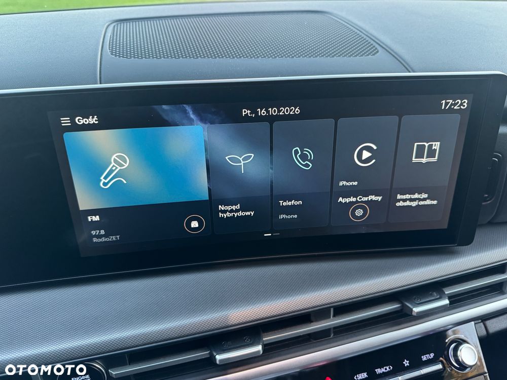 Hyundai Santa Fe - 19