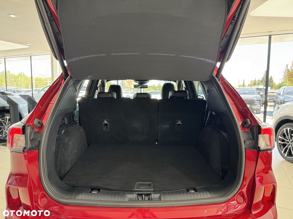 Ford Kuga 1.5 EcoBlue FWD ST-Line X - 17