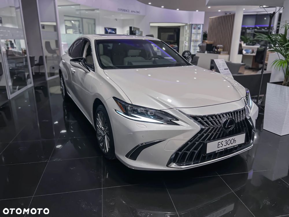 Lexus ES 300h Omotenashi - 6