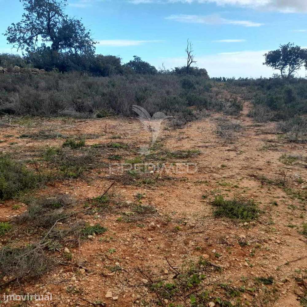 Terreno Rustico  localizado a 3 km  do Estoi - Grande imagem: 5/12