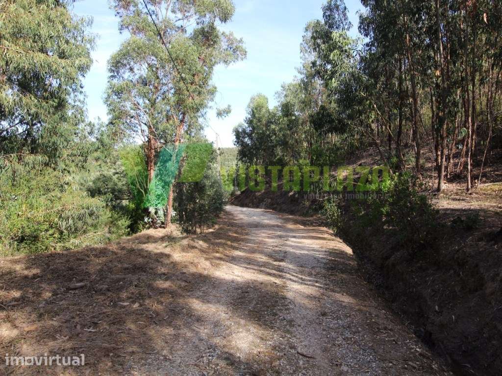 Terreno Misto, com Ruína, Monchique, Algarve - Grande imagem: 3/10