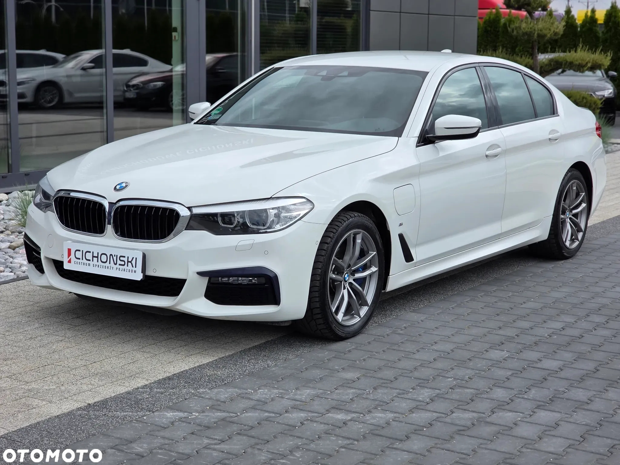 BMW Seria 5 - 34