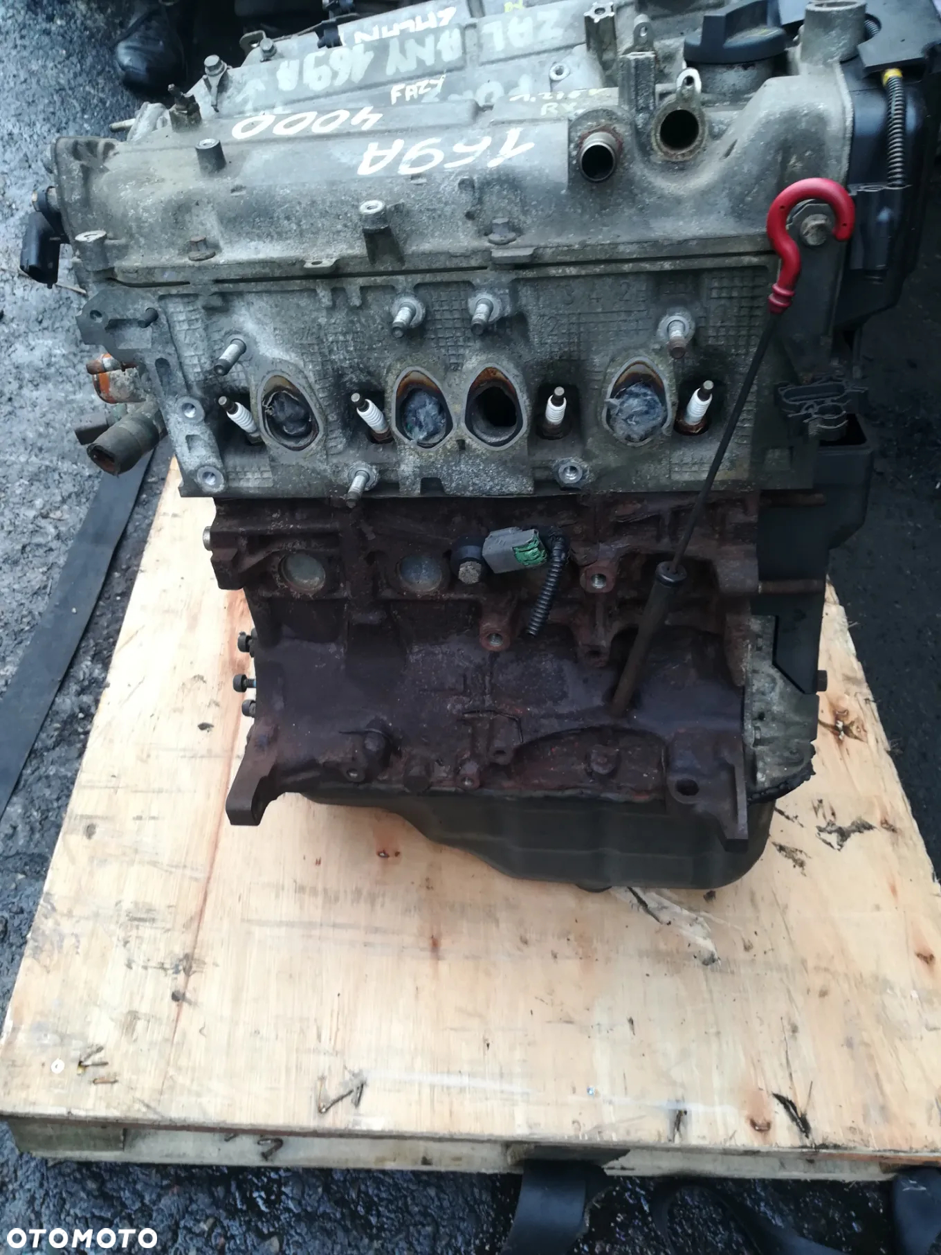 SILNIK BLOK SILNIKA 1.2i 8V 169A4000 FIAT PANDA II, FIAT GRANDE PUNTO - 3