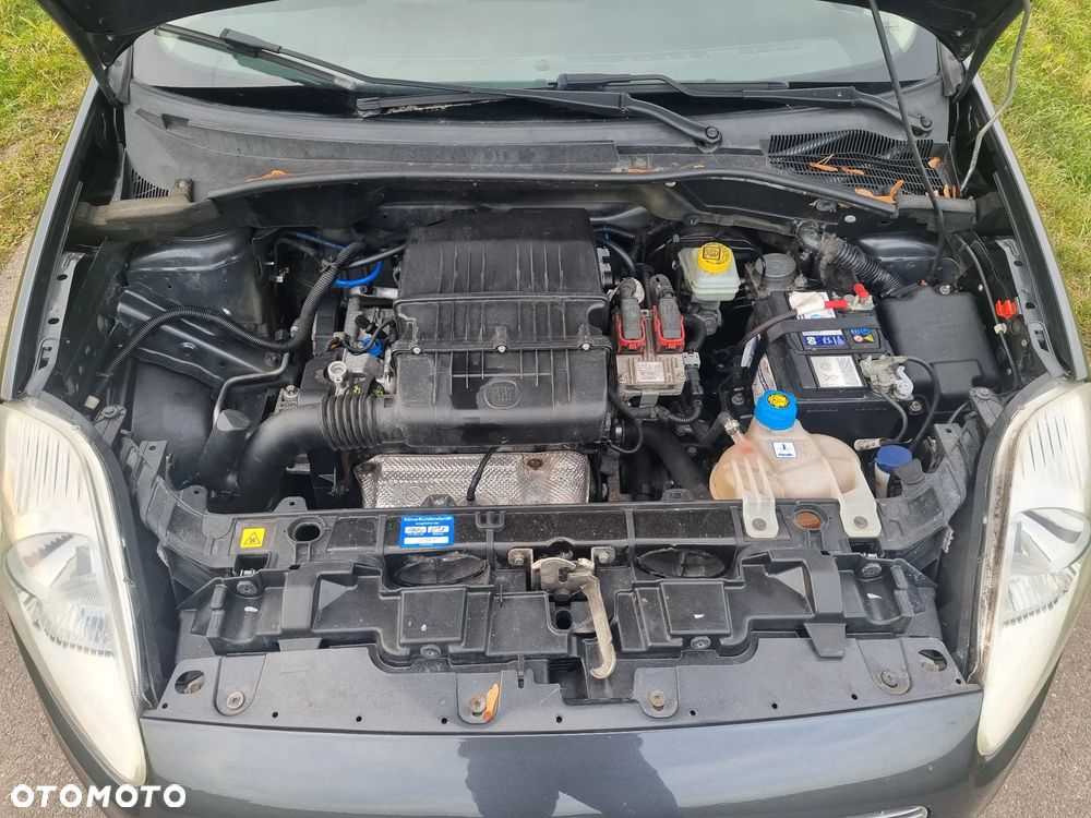 Fiat Grande Panda - 9