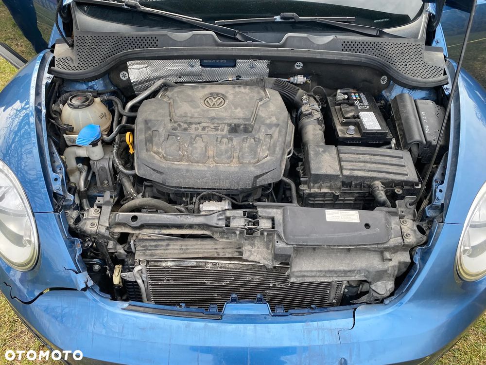 Volkswagen Beetle - 15