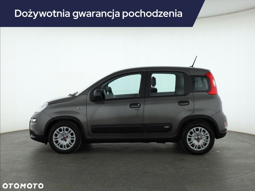 Fiat Panda 2023 photo 3