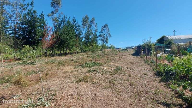 Terreno na figueira da foz (asseiço) - Grande imagem: 2/2