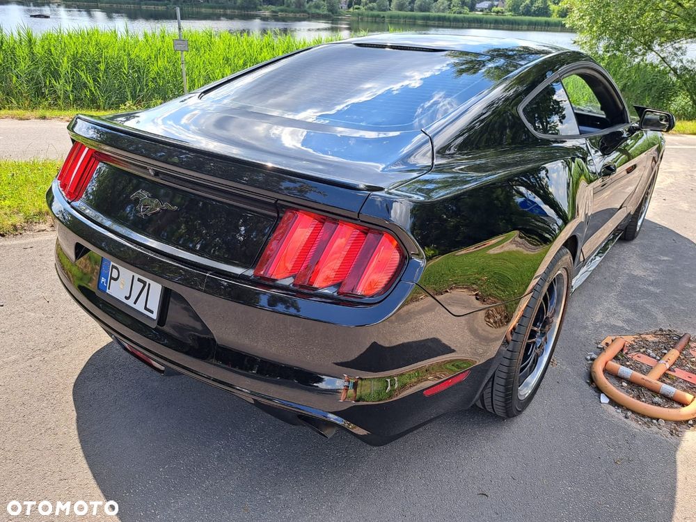 Ford Mustang 2.3 EcoBoost - 15