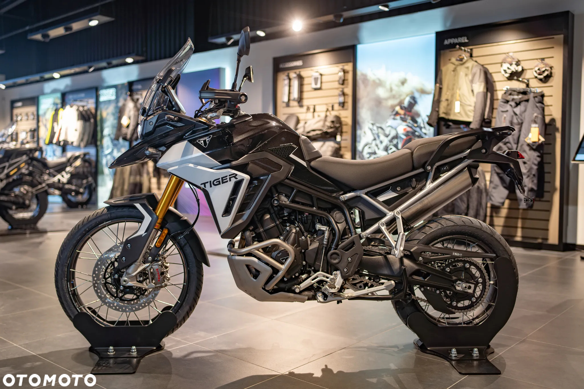 Triumph Tiger - 11