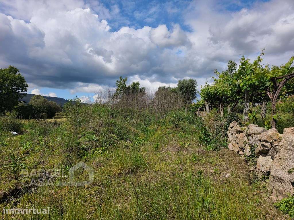 Terreno de construção em Cossourado - Barcelos - Grande imagem: 3/7